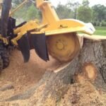 Stump Removal