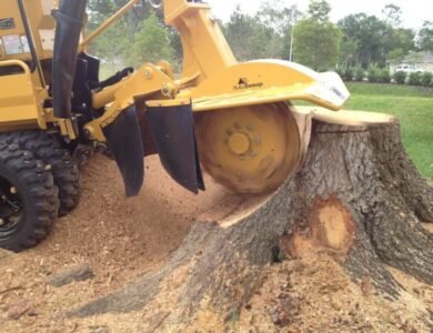 Stump Removal