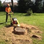 Stump Grinding