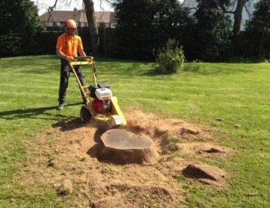 Stump Grinding