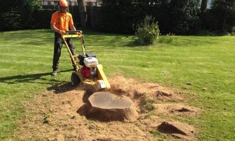 Stump Grinding